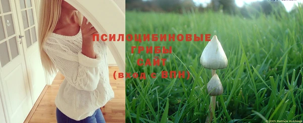 jwh Касимов