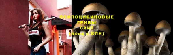 jwh Касимов
