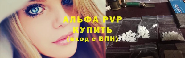 ПСИЛОЦИБИНОВЫЕ ГРИБЫ Карталы