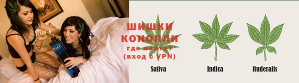 ПСИЛОЦИБИНОВЫЕ ГРИБЫ Карталы