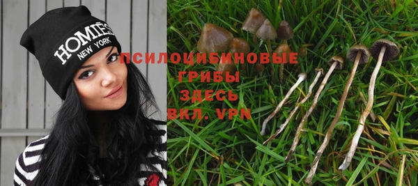 jwh Касимов