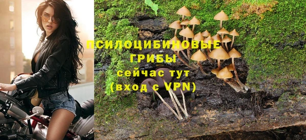 ешки Карпинск